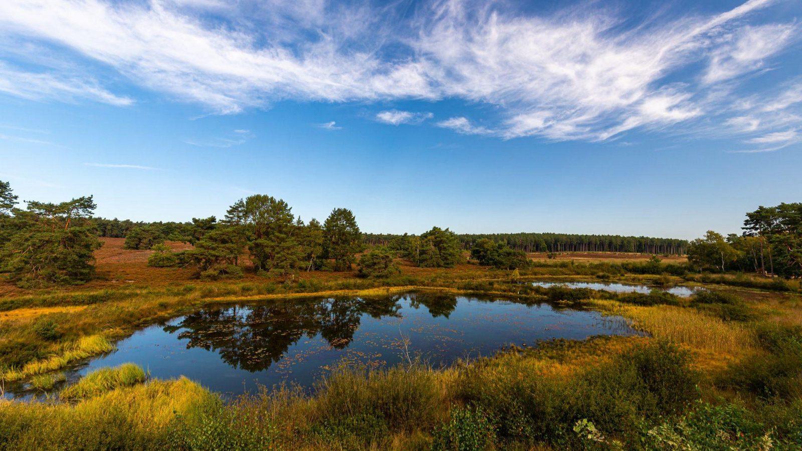 Zutendaal – natuur, wandelen en de Hoge Kempen