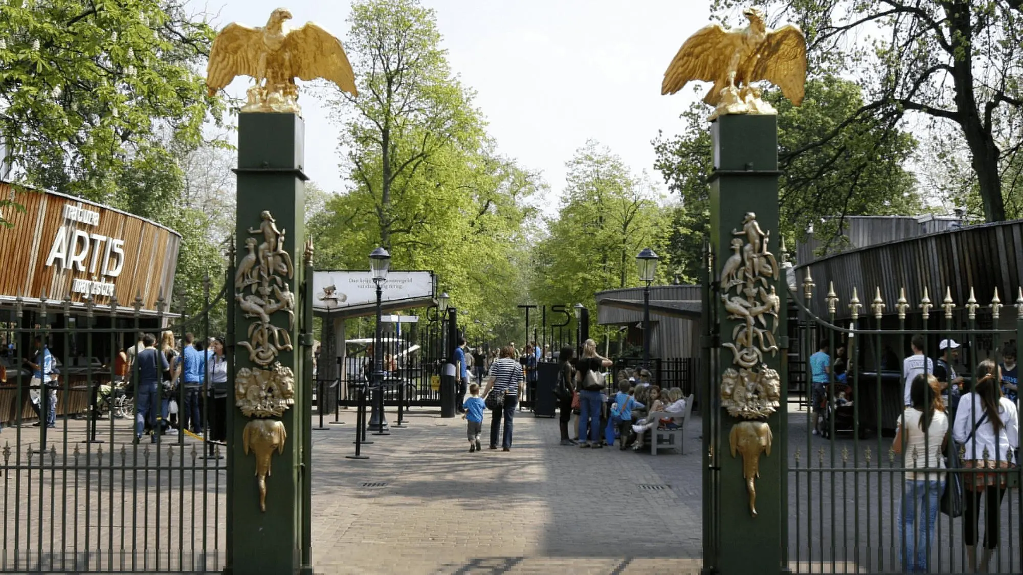 ARTIS Amsterdam: ontdek de dierenwereld midden in de stad